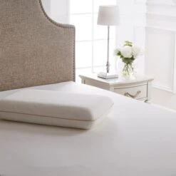 Dorma Tencel Blend Memory Foam Traditional Medium-Support Pillow -Bed Linings Store 1000040576 alt01