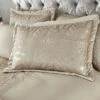 Catherine Lansfield Velvet Sparkle Champagne Pillowsham Pair